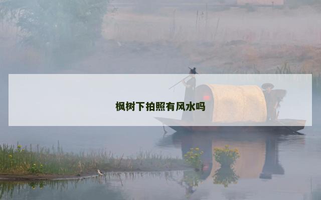 枫树下拍照有风水吗