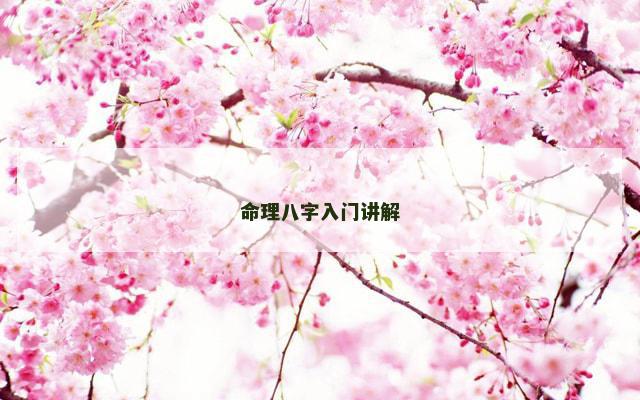 命理八字入门讲解