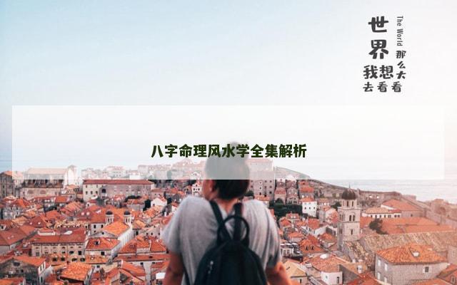 八字命理风水学全集解析