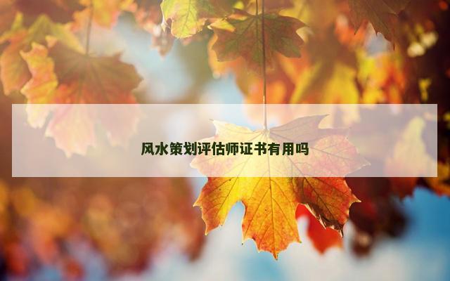 风水策划评估师证书有用吗