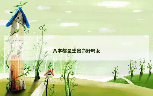 八字都是壬寅命好吗女
