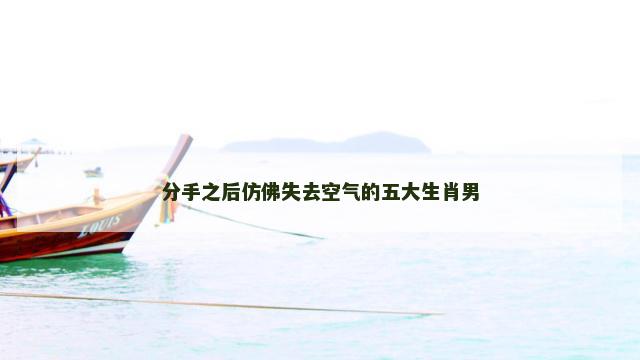 分手之后仿佛失去空气的五大生肖男