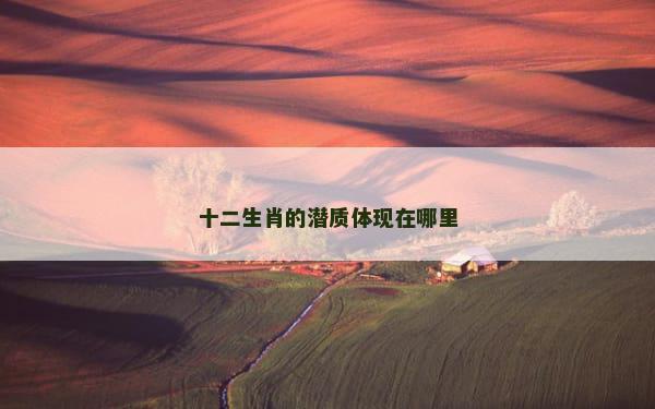 十二生肖的潜质体现在哪里