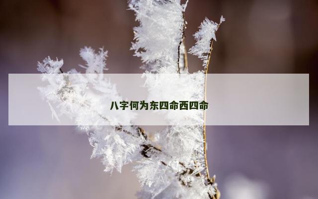 八字何为东四命西四命