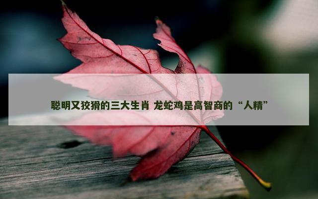 聪明又狡猾的三大生肖 龙蛇鸡是高智商的“人精”