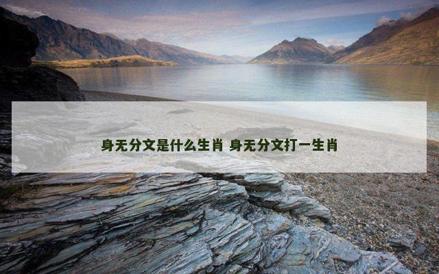 身无分文是什么生肖 身无分文打一生肖