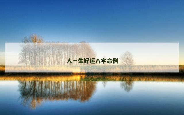 人一生好运八字命例