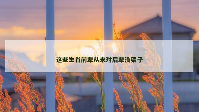 这些生肖前辈从来对后辈没架子
