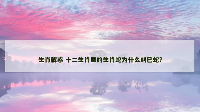 生肖解惑 十二生肖里的生肖蛇为什么叫巳蛇？