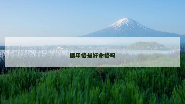 偏印格是好命格吗