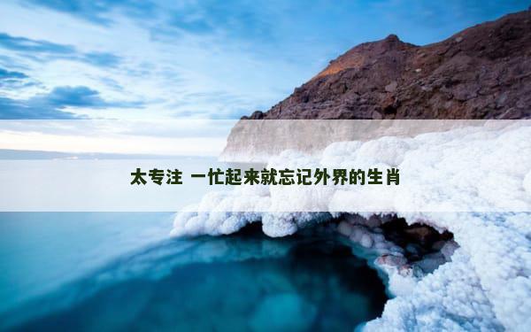 太专注 一忙起来就忘记外界的生肖