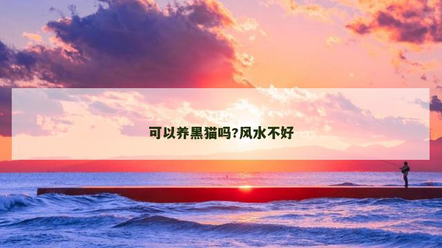 可以养黑猫吗?风水不好