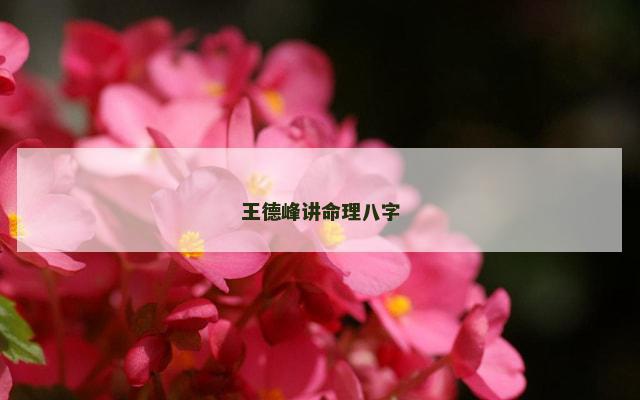 王德峰讲命理八字