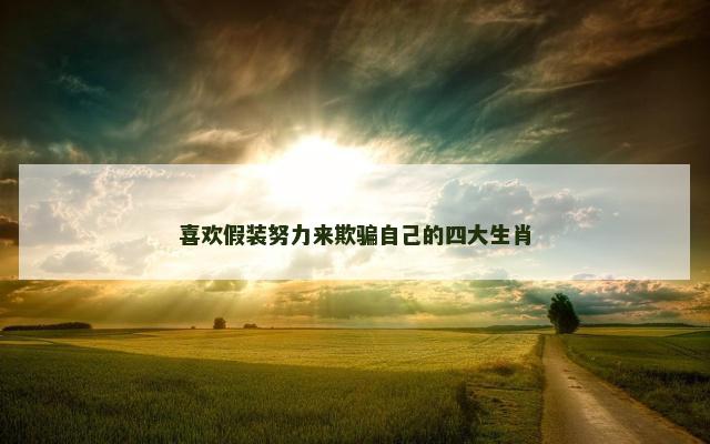 喜欢假装努力来欺骗自己的四大生肖