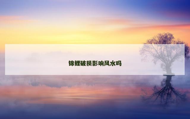 锦鲤破损影响风水吗