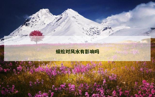 蜈蚣对风水有影响吗
