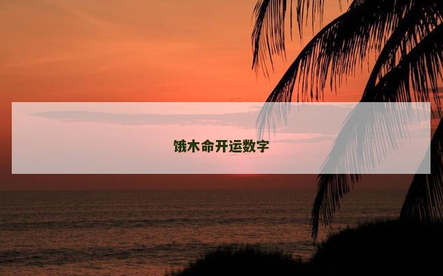 饿木命开运数字