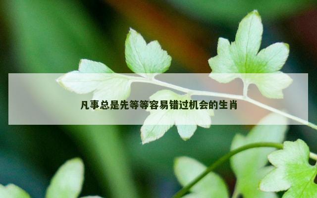 凡事总是先等等容易错过机会的生肖