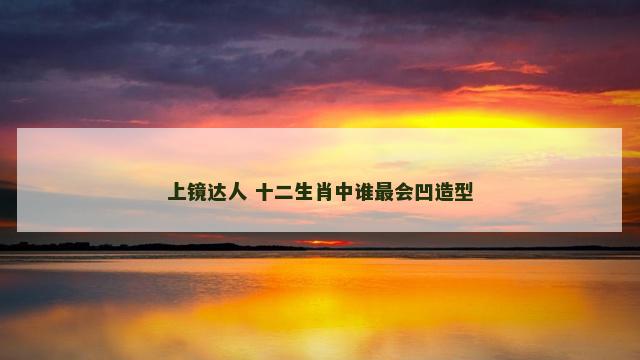 上镜达人 十二生肖中谁最会凹造型