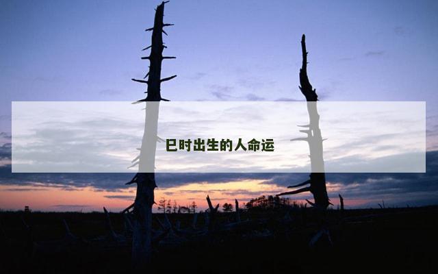 巳时出生的人命运