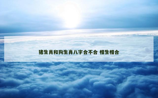 猪生肖和狗生肖八字合不合 相生相合