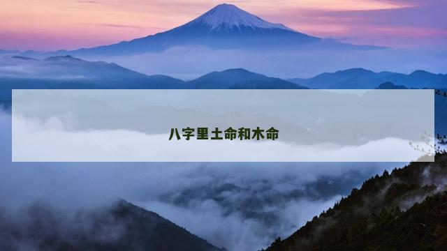 八字里土命和木命
