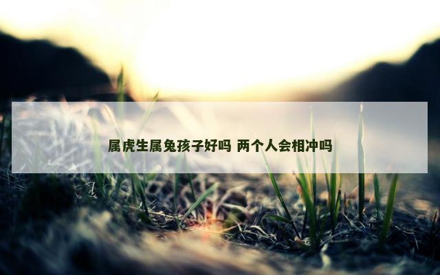 属虎生属兔孩子好吗 两个人会相冲吗