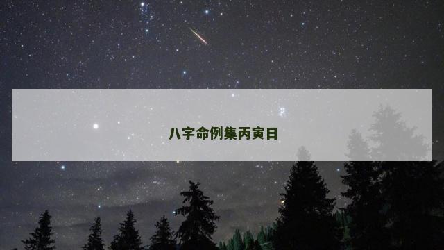八字命例集丙寅日