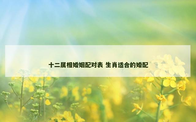 十二属相婚姻配对表 生肖适合的婚配
