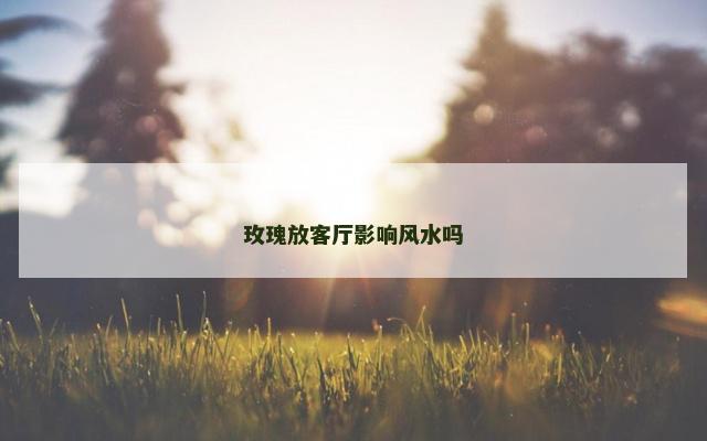玫瑰放客厅影响风水吗
