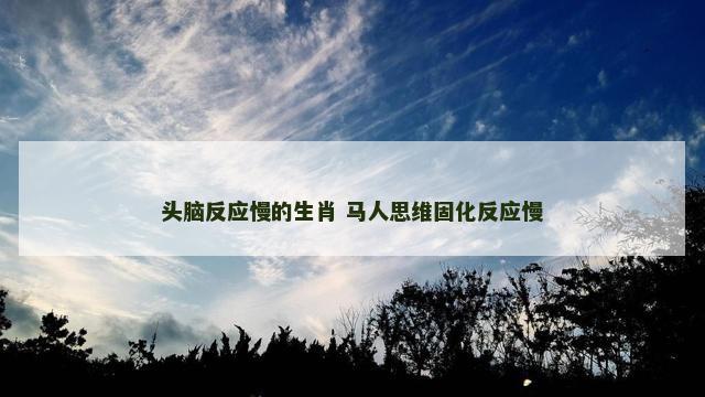 头脑反应慢的生肖 马人思维固化反应慢