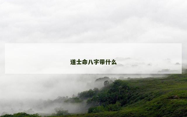道士命八字带什么
