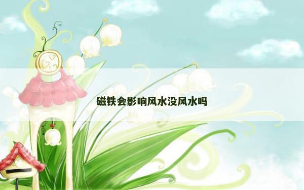 磁铁会影响风水没风水吗