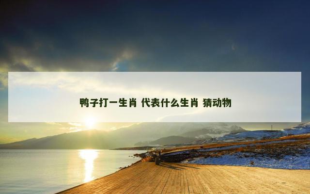 鸭子打一生肖 代表什么生肖 猜动物