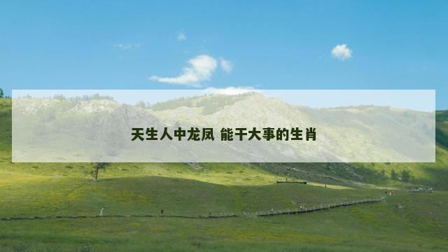 天生人中龙凤 能干大事的生肖