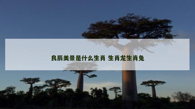 良辰美景是什么生肖 生肖龙生肖兔