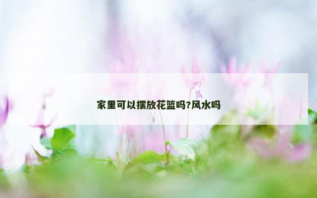 家里可以摆放花篮吗?风水吗