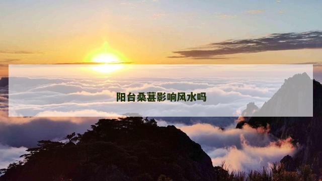 阳台桑葚影响风水吗