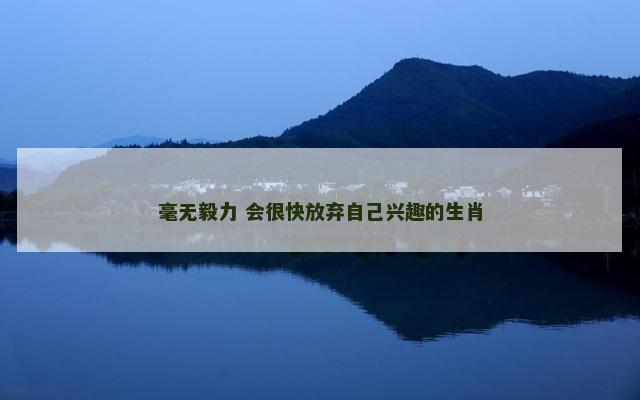毫无毅力 会很快放弃自己兴趣的生肖