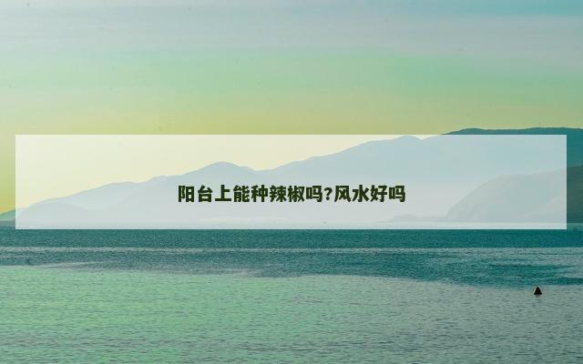 阳台上能种辣椒吗?风水好吗
