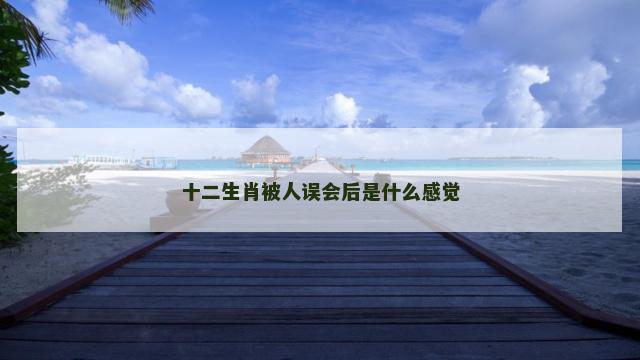 十二生肖被人误会后是什么感觉