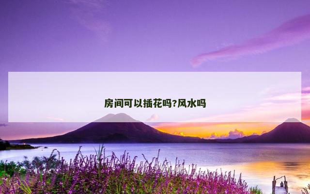 房间可以插花吗?风水吗