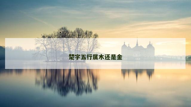 楚字五行属木还是金