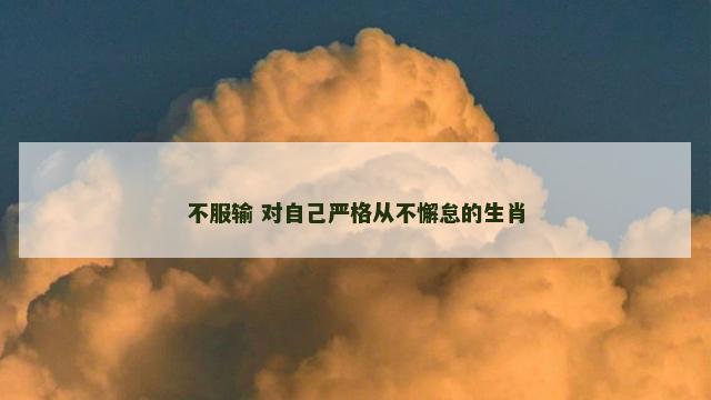不服输 对自己严格从不懈怠的生肖