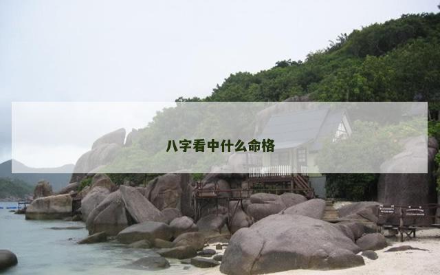 八字看中什么命格