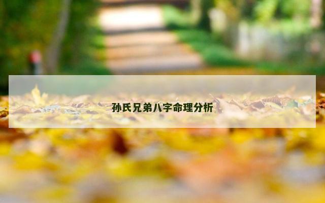 孙氏兄弟八字命理分析