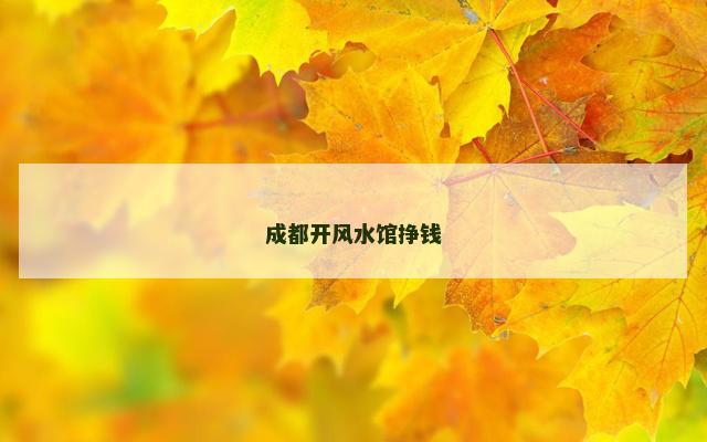 成都开风水馆挣钱