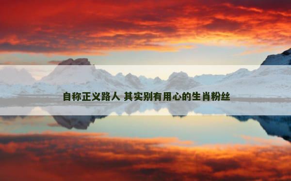 自称正义路人 其实别有用心的生肖粉丝