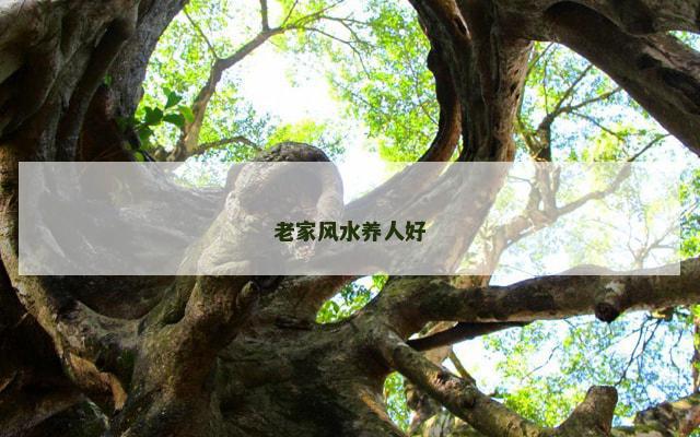 老家风水养人好