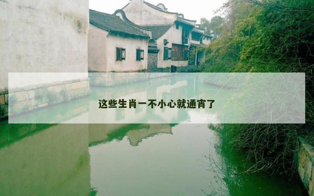 这些生肖一不小心就通宵了